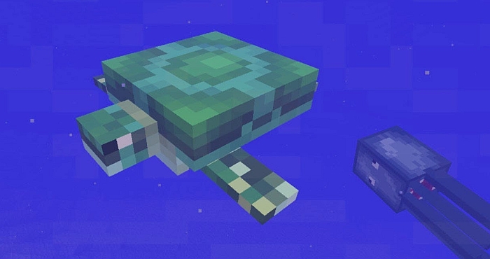 Turtles are now officially part of the Minecraft ecosphere